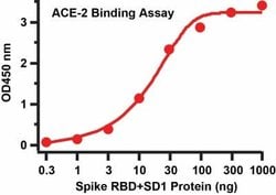 Novus Biologicals Recombinant SARS-CoV-2 Spike (RBD+SD1) His (C-Term) Protein 0.05 mg | Buy Online | Novus Biologicals&trade; | Fisher Scientific